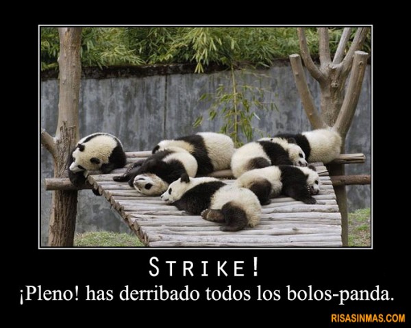 Strike! Pandas