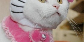 Disfraces Gatunos: Hello Kitty