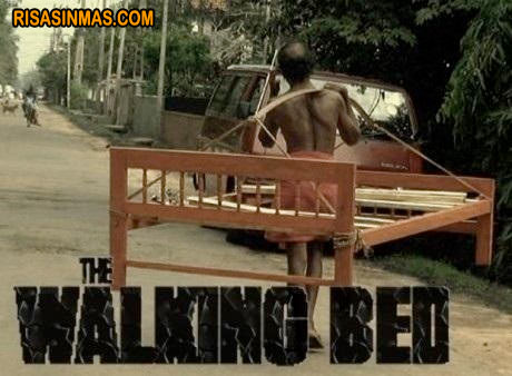 The Walking Bed Temporada 1