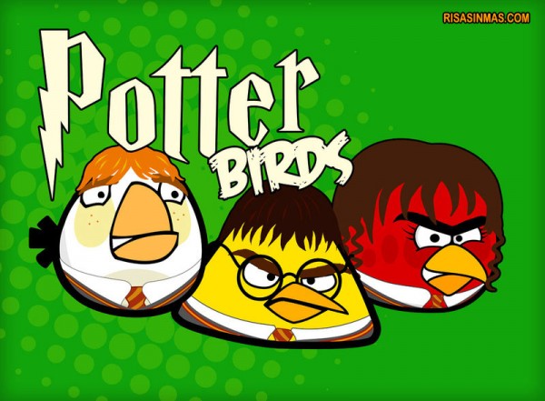 Potter Birds