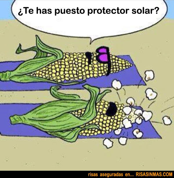 La importancia del protector solar