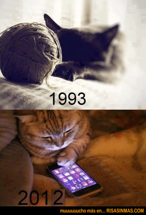 Evolución del juguete del gato