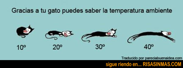 El gato es un termómetro