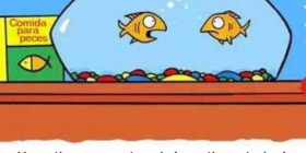 Pareja de peces discutiendo