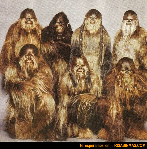 Foto familiar de Chewbacca