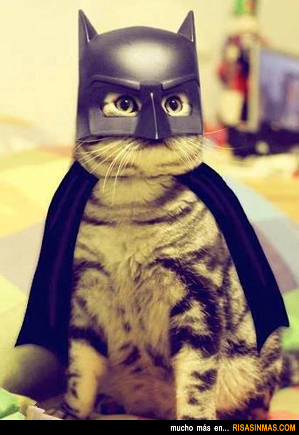 Disfraces gatunos: Batman