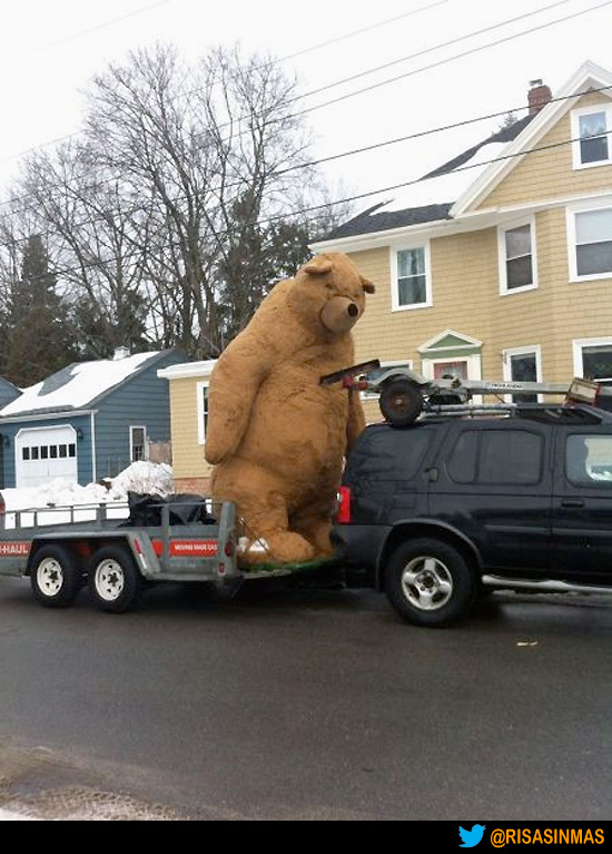 El oso de peluche más grande del mundo