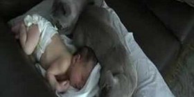 Gatos protegiendo a un bebé
