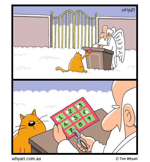 Las siete vidas del gato