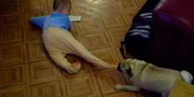Carlino jugando con un bebé