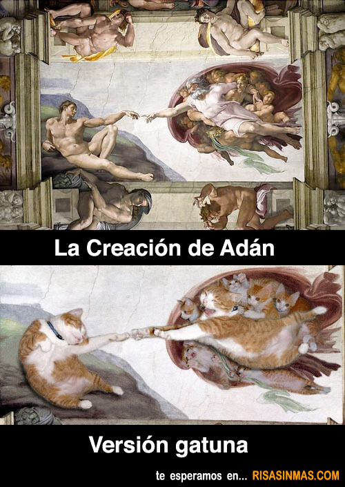 La creación de Adán versión gatuna