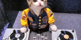 Gato DJ