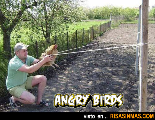 Angry birds versión real