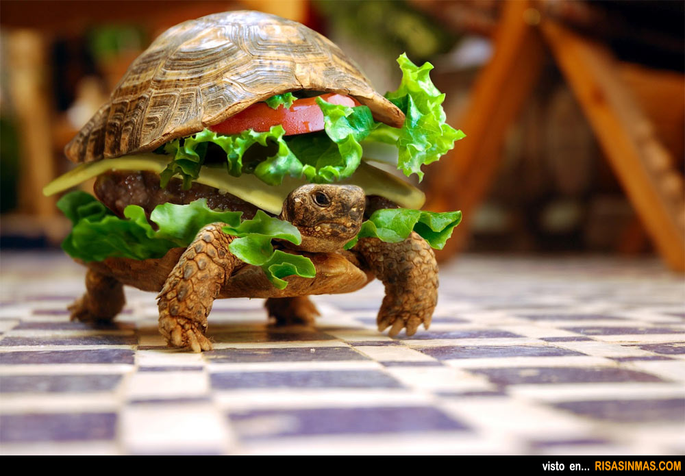 ¡Camarero la hamburguesa se mueve!
