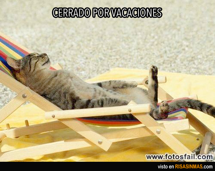 Cerrado por vacaciones: gato tomando el sol