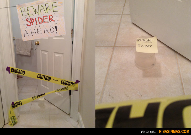 Cuidado, araña en el baño