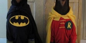Disfraces perrunos: Batman y Robin