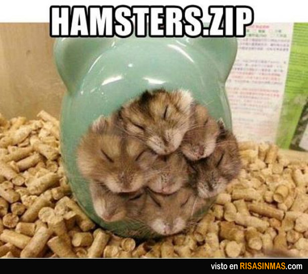 Hamsters.zip