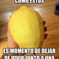 Limón gigante