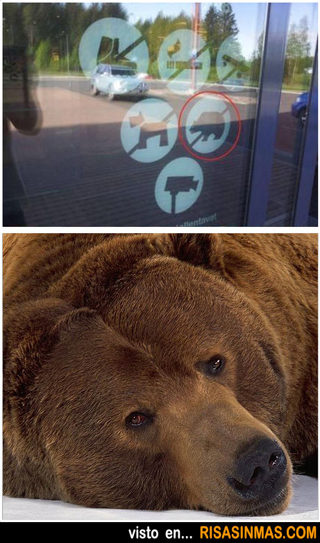 Prohibida la entrada a los osos