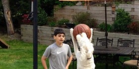 Jugando al baloncesto con tu perro