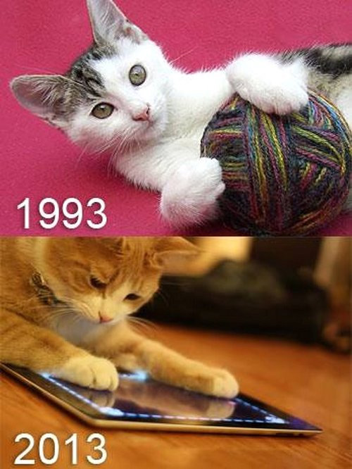 Los juegos de los gatos 1993 y 2013