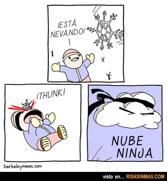 Nube ninja