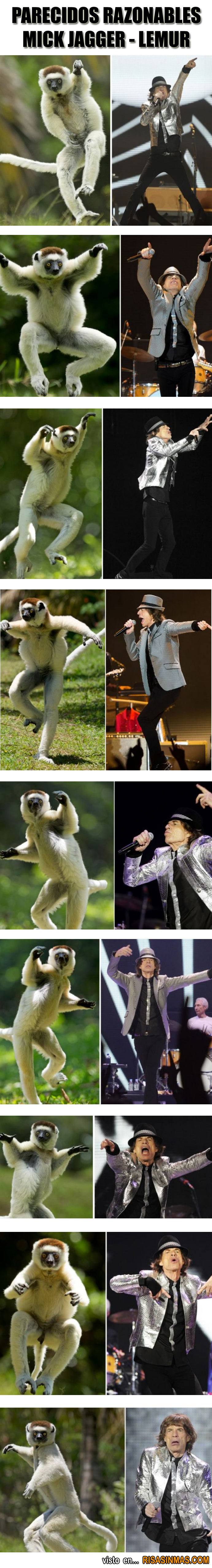 Parecidos razonables: Mick Jagger - Lemur