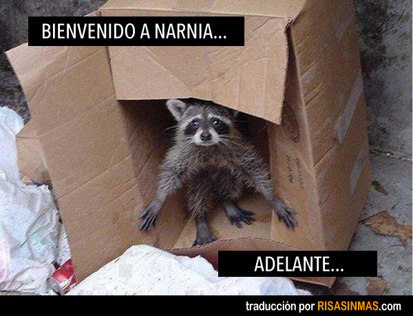 Bienvenido a Narnia