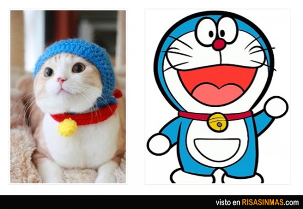 El gato de Doraemon existe
