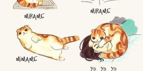 Guía del lenguaje corporal de los gatos