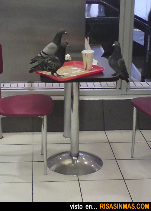 Tres amigas decidiendo que hacen después de comer