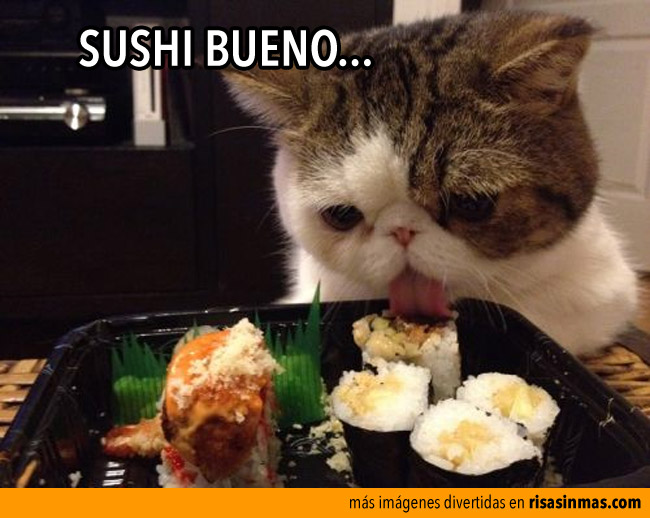 Sushi bueno