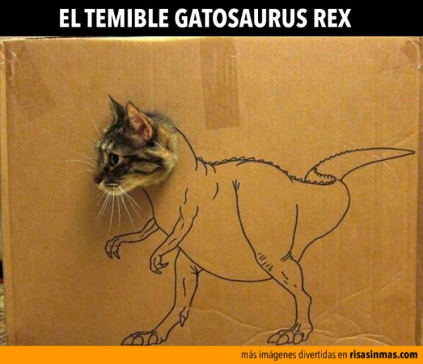 El temible Gatosaurus Rex