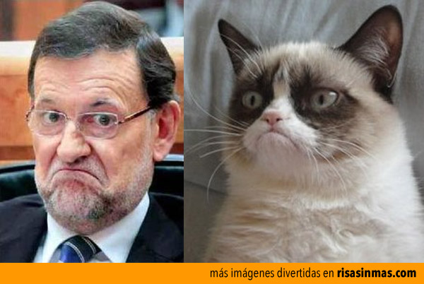 Grumpy Rajoy