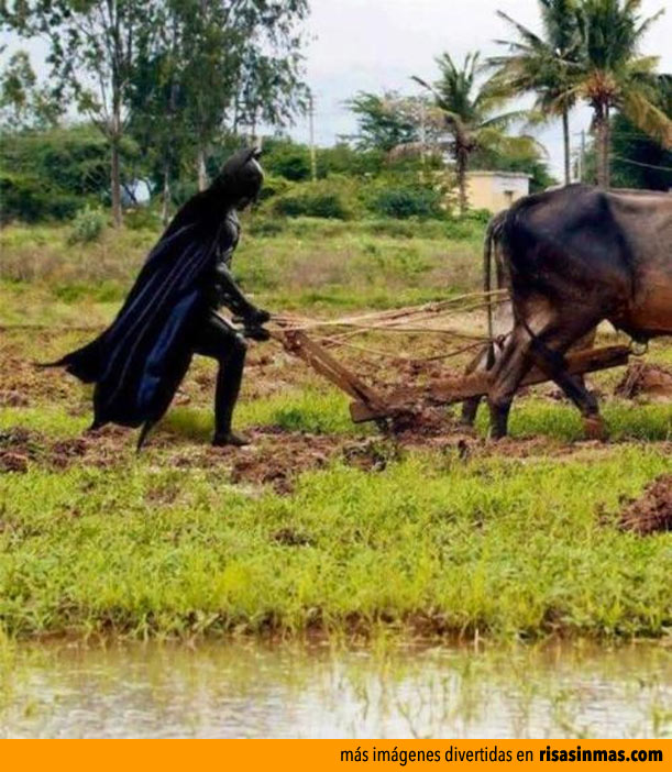 Batman trabajando en el campo