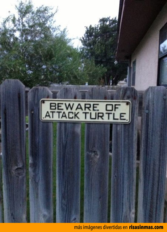 Cuidado con la tortuga
