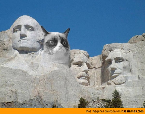 Grumpy Cat en el monte Rushmore