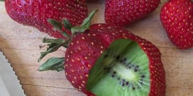Nueva variedad de fresas kiwi