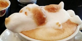Tengo a Snoopy en el café
