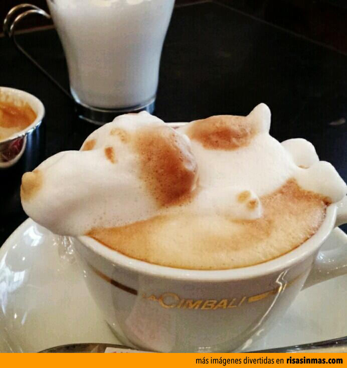 Tengo a Snoopy en el café
