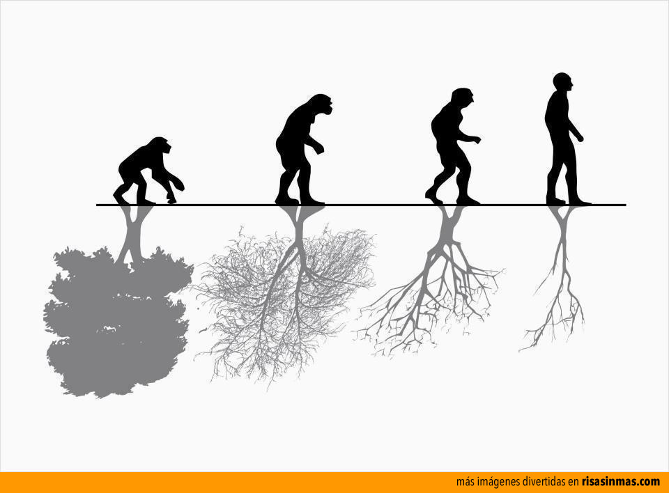 Evolución y naturaleza