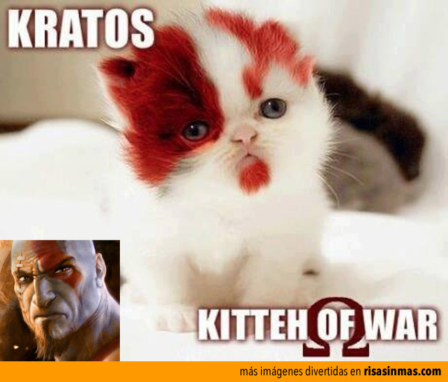 Kratos, kitten of war