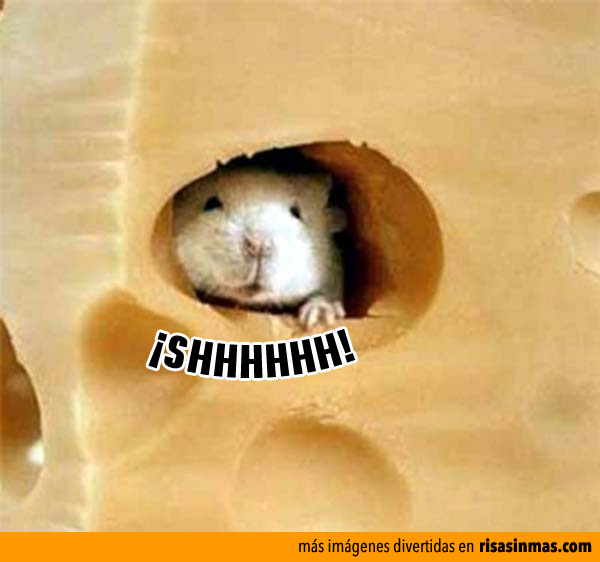 Ratón escondido en el queso