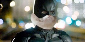 Grumpy cat será el nuevo Batman