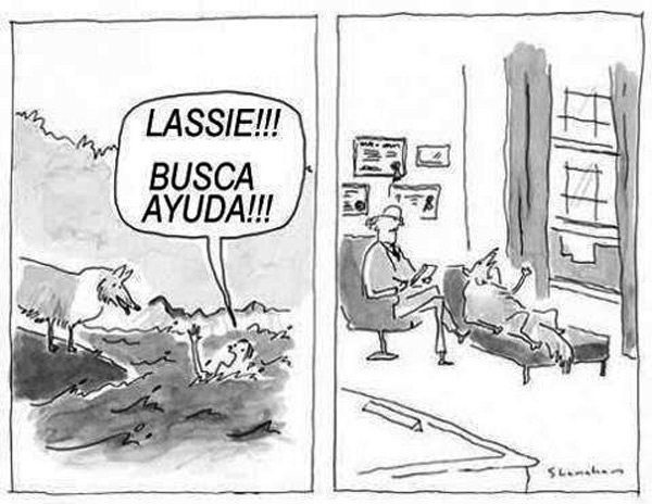 ¡Lassie, busca ayuda!