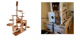Los gatos y las cajas
