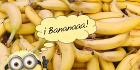 Minion feliz con sus bananas