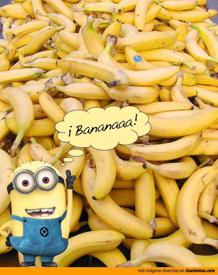 Minion feliz con sus bananas