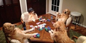 Partida de poker